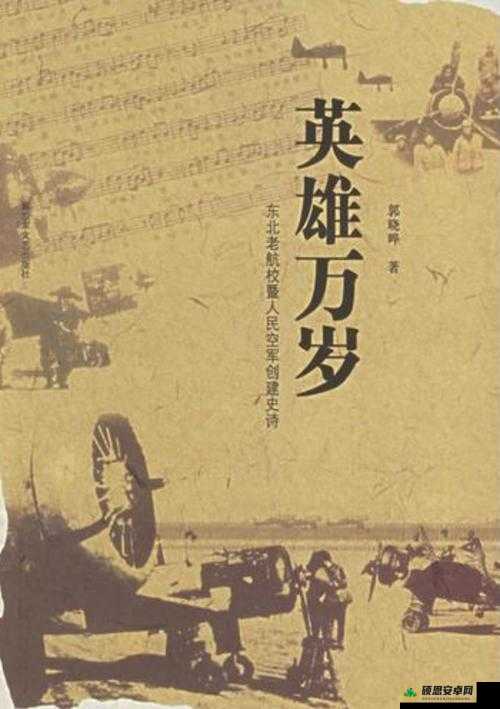 英雄万岁，深度解析有效防止金币被抢与高效资源管理策略